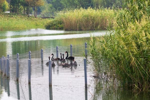 “中國第①水鄉”周莊沒人能抵抗的了，坐擁30000㎡親子樂園