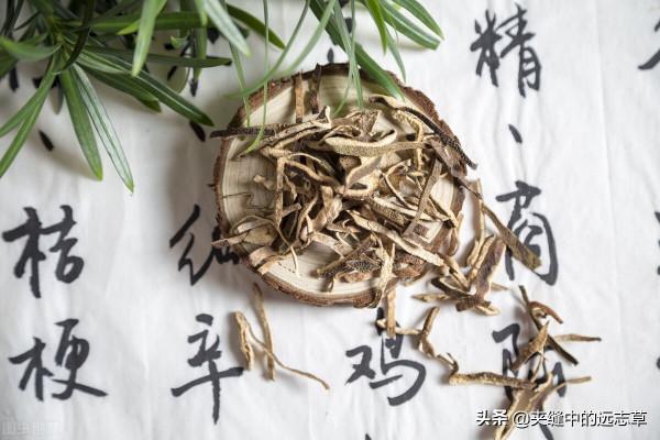 脂肪肝？送你十一味中藥，解肝鬱，健脾胃，平補陰陽