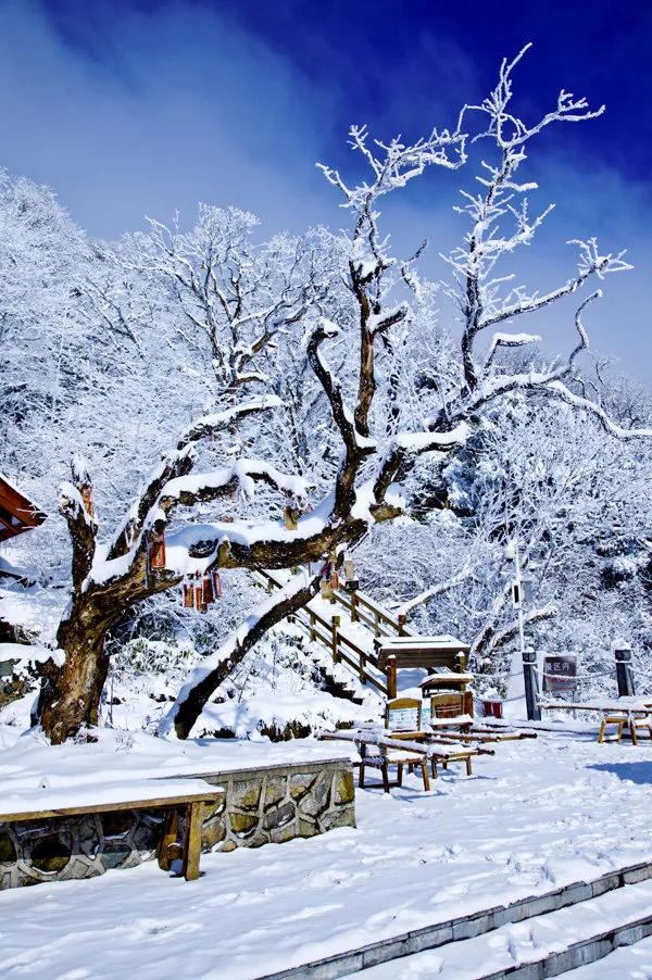 大美梵淨山 猶如仙境 煙霧繚繞