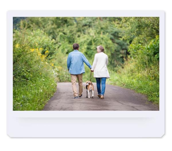 散步於我居住的地方