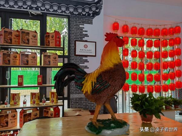 衡水的這些美食,需要排隊才能吃到,你都吃過嗎 衡水的這些美食,需要排隊才能吃到,你都吃過嗎