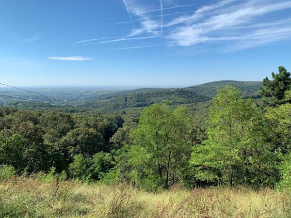 2019暑假塞爾維亞、波黑之旅（3）