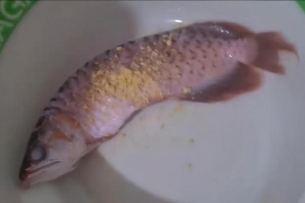 懶人丈夫不肯清洗魚缸，妻子怒把“超貴紅龍魚”當晚餐