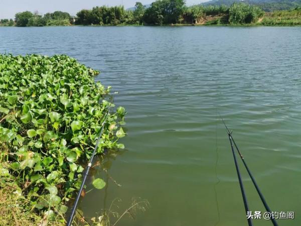 野釣還被人打閉口？惹不起還躲不起，聽我一句勸“溜吧”