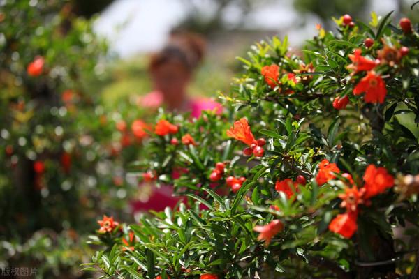 山東冷知識:推薦山東這20個世界之最和中國之最,你還知道哪些? 山東冷知識:推薦山東這20個世界之最和中國之最,你還知道哪些?