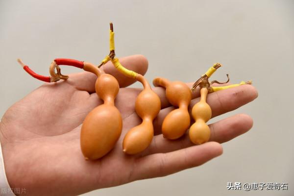 老北京人的八大文玩