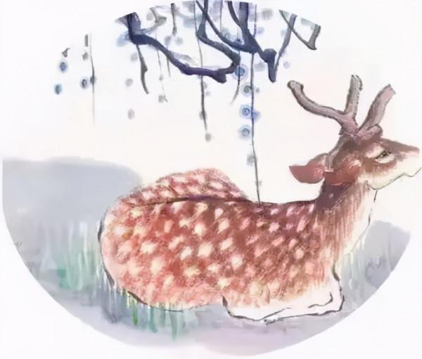 【今日夏至】歲月悠長伴夏鳴,浮華褪盡荷飄香 【今日夏至】歲月悠長伴夏鳴,浮華褪盡荷飄香