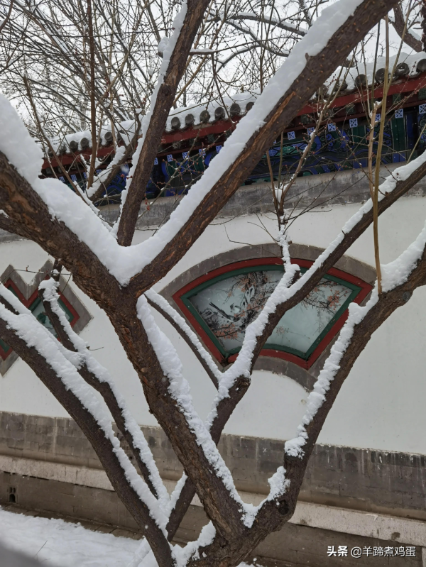 難覽觀園全畫景 雪覆臘梅一隅香&mdash;&mdash;踏雪尋遊北京大觀園