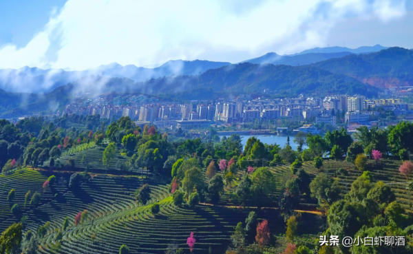 散裝酒大省雲南嚴查!以後不能隨便自己釀酒了?當地人:早該整治 散裝酒大省雲南嚴查!以後不能隨便自己釀酒了?當地人:早該整治