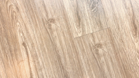 三天不打掃，密閉屋子就會出現很多“毛毛”，這到底是怎麼回事？