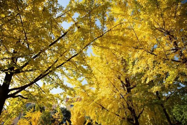 一女士炒股欠債近十萬，告訴老公後，結果怎樣？