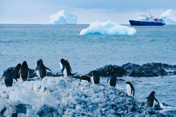 我們去南極結婚了 我們去南極結婚了