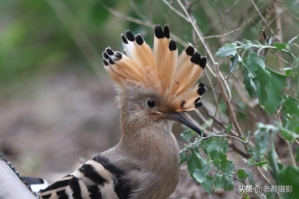 展現自己的美麗看心情