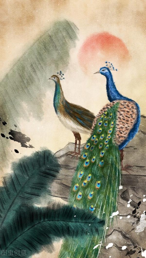 手機桌布‖美麗的孔雀