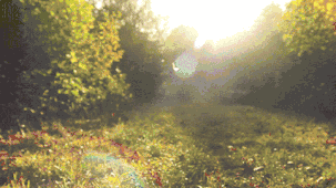 曬被子後有“太陽味”,是因為蟎蟲被烤焦了?科學家:太陽的功勞 曬被子後有“太陽味”,是因為蟎蟲被烤焦了?科學家:太陽的功勞