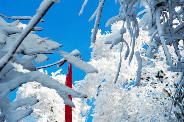 在家觀冬奧 聯想冰雪記憶