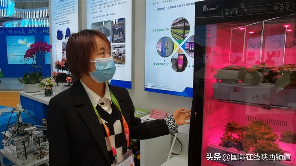 「走進第28屆農高會」“小種子”歷險記