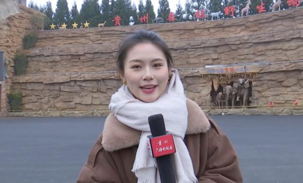 虎年到來福也到!記者近距離探班野生老虎,一起來沾沾“虎”氣 虎年到來福也到!記者近距離探班野生老虎,一起來沾沾“虎”氣