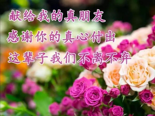 一生的朋友,認識你真好 一生的朋友,認識你真好