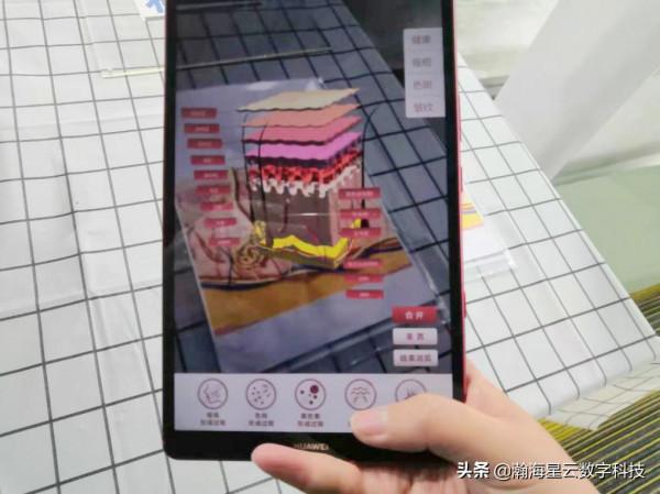 面板組織結構示教系統