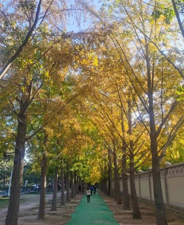 原創 | 秋日的私語-III故事集錦