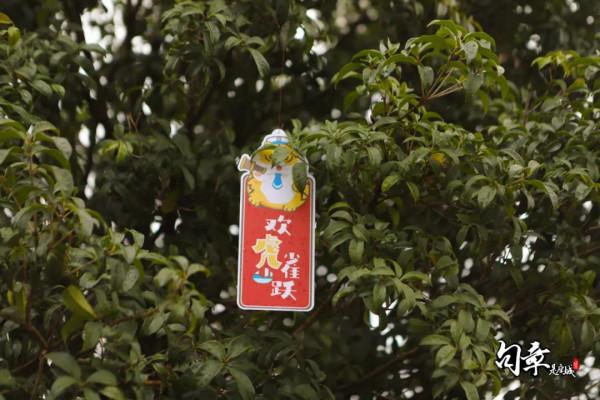 虎虎生威、龍騰虎躍,快來江北打卡萌虎 虎虎生威、龍騰虎躍,快來江北打卡萌虎