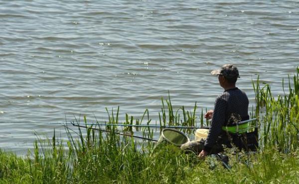 釣魚不看風，容易釣個空，刮什麼風好釣魚？知道三點三條就行了