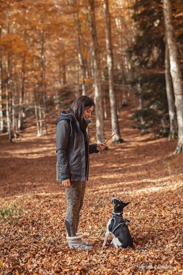 森養SAMYANG 正式釋出AF 50mm F1.4 二代 FE卡口