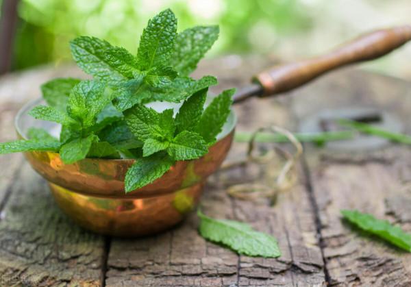 冬季上火,嗓子疼痛不適?推薦這幾款潤喉茶! 冬季上火,嗓子疼痛不適?推薦這幾款潤喉茶!
