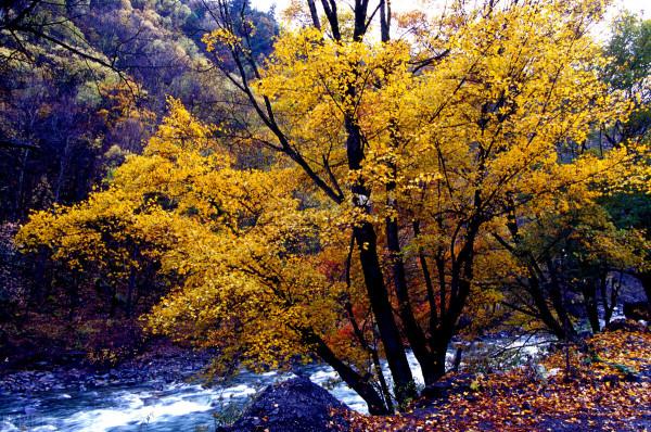 人少景美|9個寶藏旅遊地,深秋初冬一網打盡 人少景美|9個寶藏旅遊地,深秋初冬一網打盡