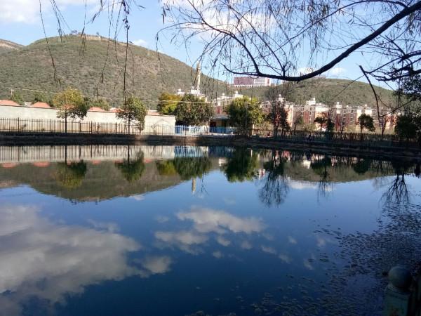 新年首釣的快樂，無非是真“打龜”了