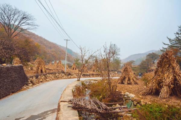 營口深山中藏著一處秘境，景色美如“世外桃源”，農家菜好吃不膩