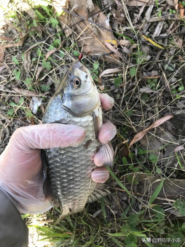 關於冬釣的5個硬核知識，一次性講清楚，釣魚人必備殺手鐧