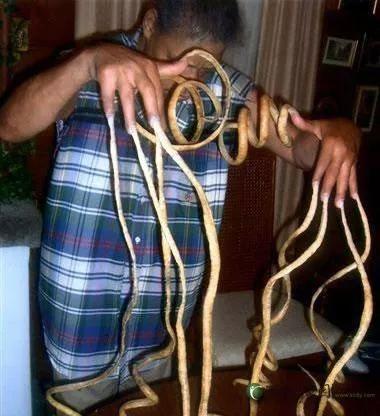 長而又長的指甲，別見怪