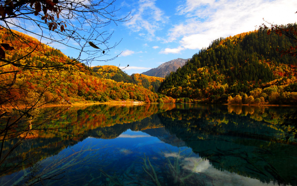 「詩詞鑑賞」十五首野望的詩詞，一起野望，開啟一場深秋的邂逅