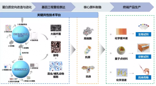 知耕快報｜世界最小農業AI機器人問世；藻類基因注入重塑視覺神經