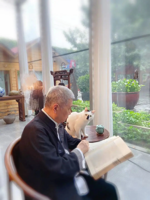 大貓星王情聖的工作日常