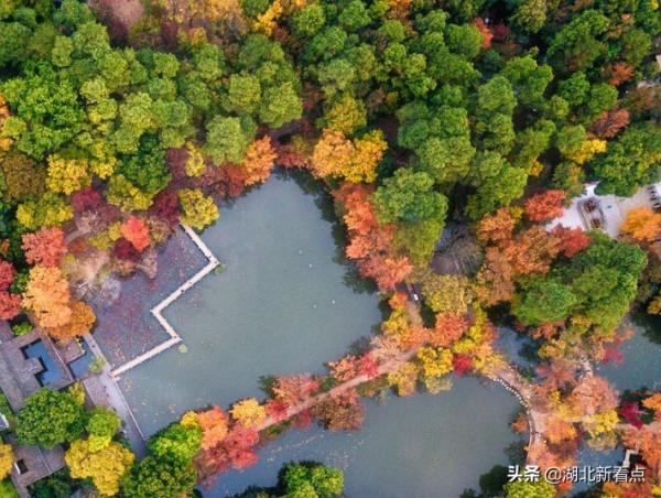 秋天最美的7大城市