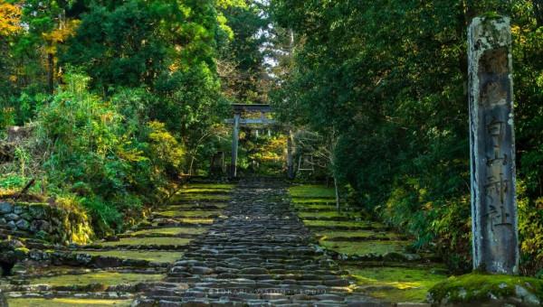 逛逛日本 | 福井縣深山中的絕美秘境 逛逛日本 | 福井縣深山中的絕美秘境