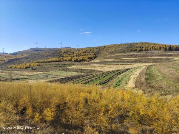 一路走來一路拍，只是想把美景分享給朋友們