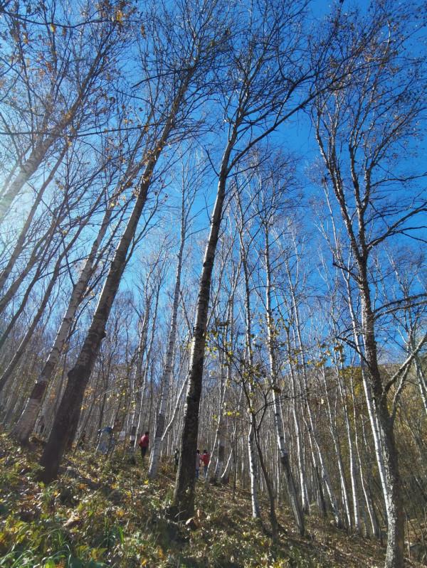 北京懷柔喇叭溝門原始森林遊記