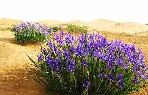 我國三大核武器研製試驗基地已經對公眾開放,值得一遊,你去過嗎 我國三大核武器研製試驗基地已經對公眾開放,值得一遊,你去過嗎