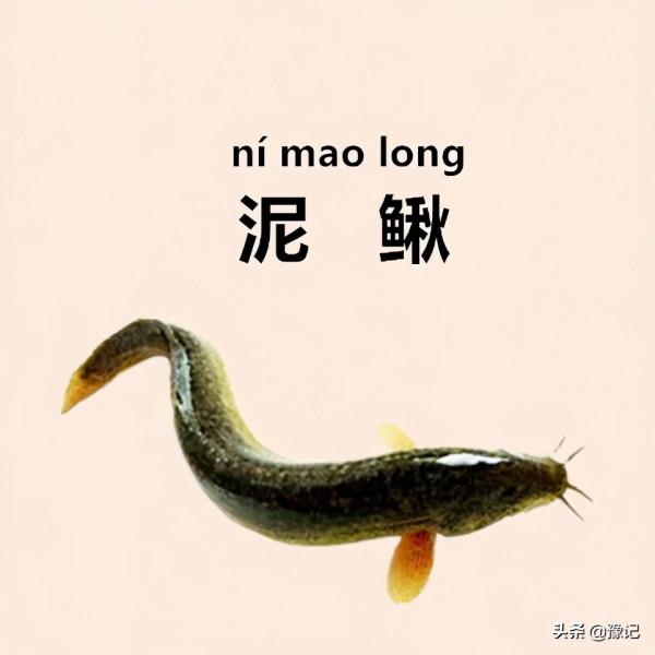 叫對了這些,你的河南方言能過八級 | 豫記 叫對了這些,你的河南方言能過八級 | 豫記