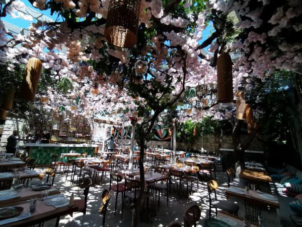 獨自旅行：土耳其&lpar;46&rpar;－遇見你真好