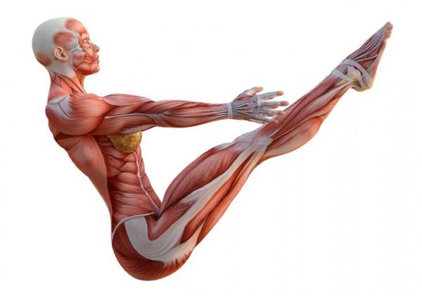 10 個簡單的動作來消除背痛，並同時鍛鍊你的腹肌