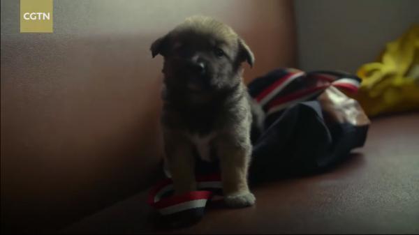 “中國最溫情火車”，1塊錢票價：有人賣菜吆喝，有人畫畫讀書…