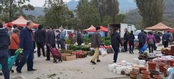 走起！週末跟著文旅頻道趕大集