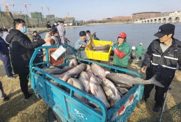 高校全魚宴,連吃十天不要錢!學生:親手喂大的魚真香 高校全魚宴,連吃十天不要錢!學生:親手喂大的魚真香