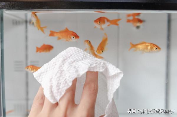 溼巾也能動手做,潔淨溫和更耐用,Moido智慧除菌溼巾機體驗 溼巾也能動手做,潔淨溫和更耐用,Moido智慧除菌溼巾機體驗