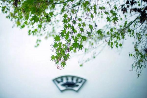 36個古文中的哲理名句 你都知道哪些呢 36個古文中的哲理名句 你都知道哪些呢